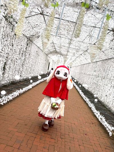 ハナちゃん